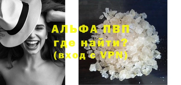 PSILOCYBIN Ветлуга