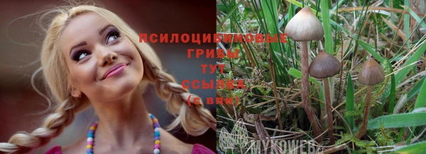 каннабис Абинск