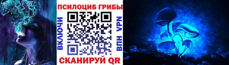 Псилоцибиновые грибы MAGIC MUSHROOMS  купить наркоту  мега ссылка  Белый 